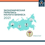 росстат призывает малый бизнес принять участие в экономической переписи - фото - 1