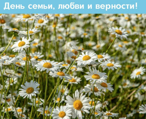 уважаемые жители Стодолищенского поселения - фото - 1